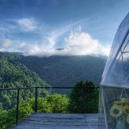Отель Mtirala Glamping Chakvistavi Экстерьер фото